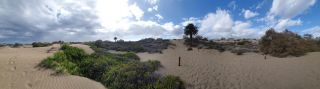 2023-GC--Mapalomas dunas-S123-057.jpg